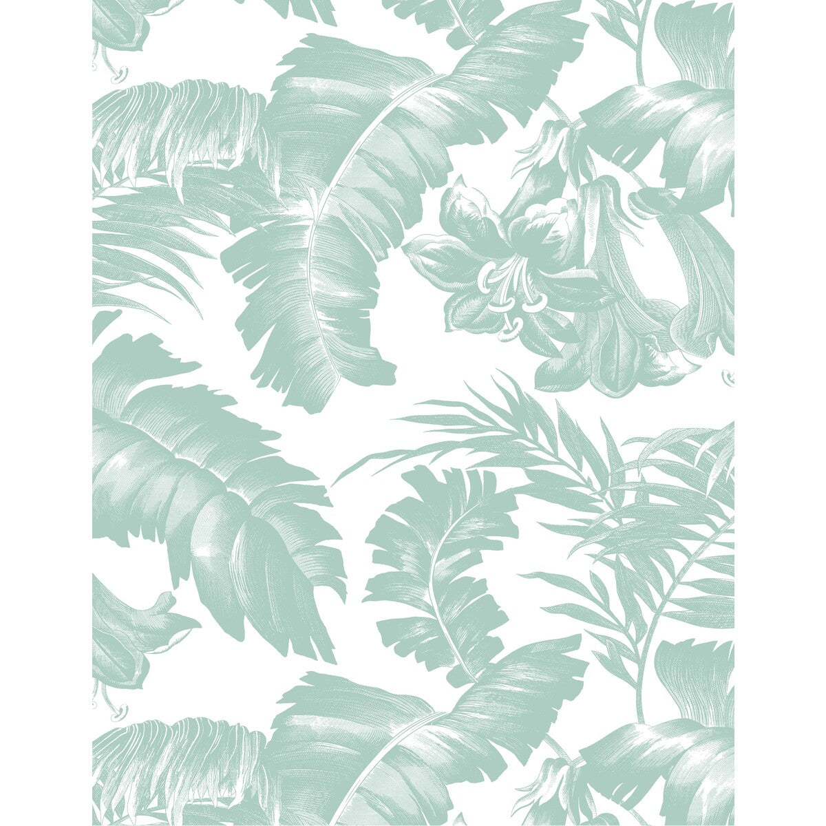 Plantation-Azul Claro
