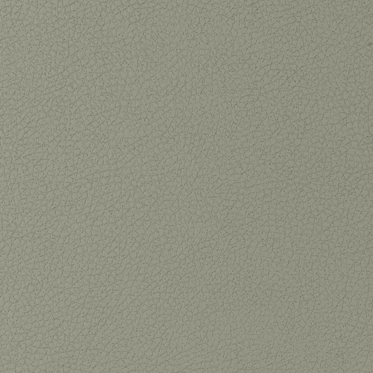 Kravet Design-Genslar-1121