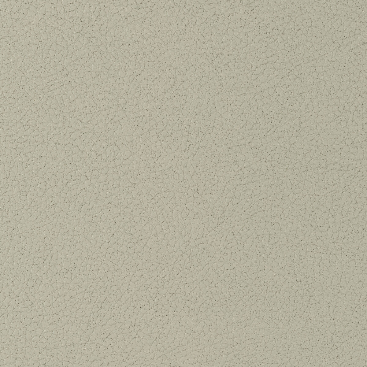 Kravet Design-Genslar-11