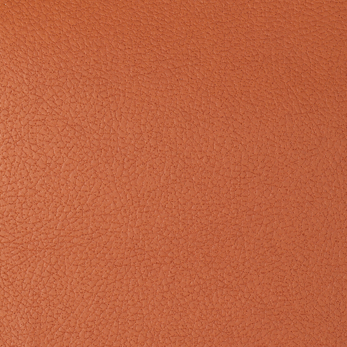 Kravet Design-Genslar-12