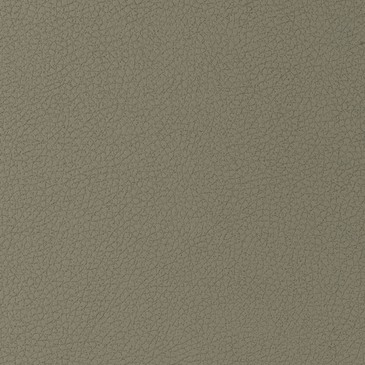 Kravet Design-Genslar-1616