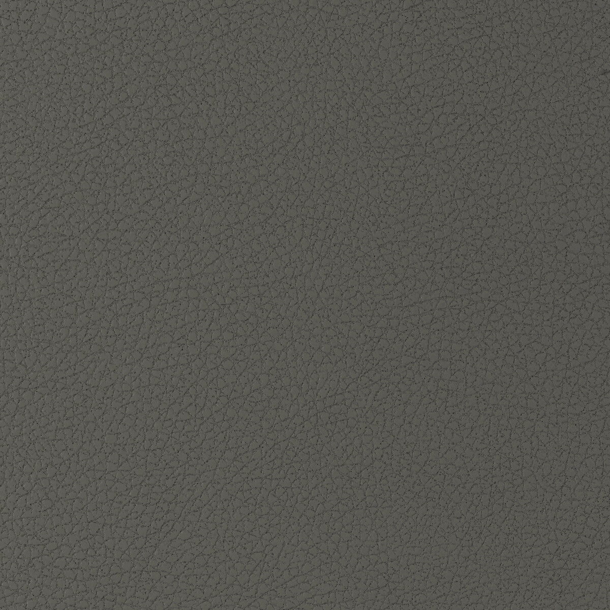 Kravet Design-Genslar-21