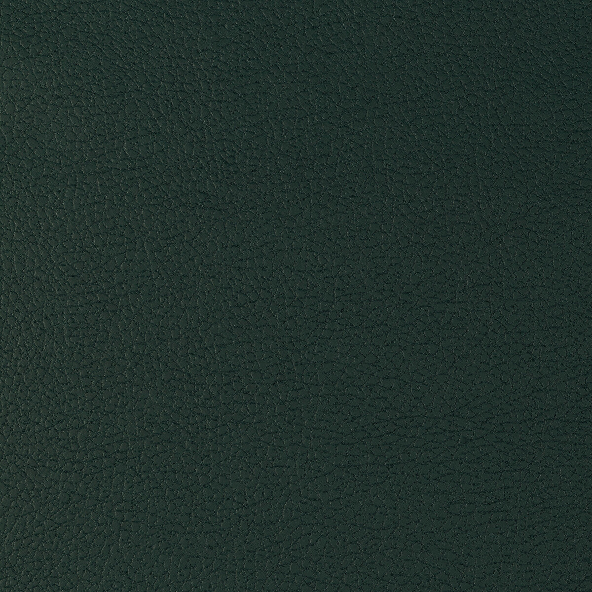 Kravet Design-Genslar-35