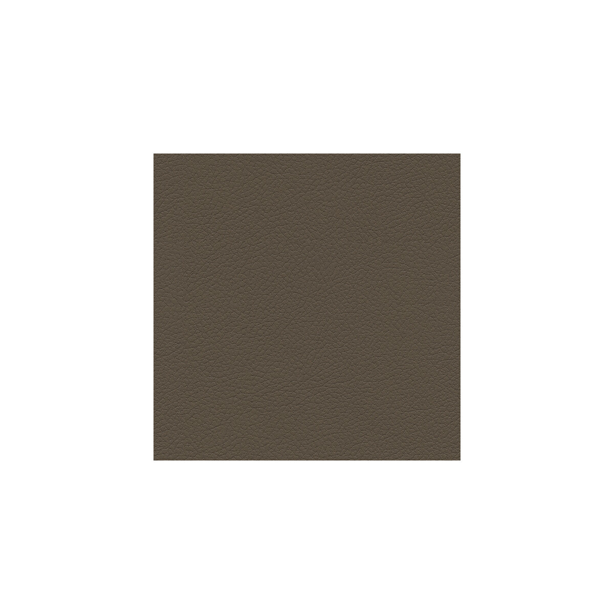 Kravet Design-Genslar-611