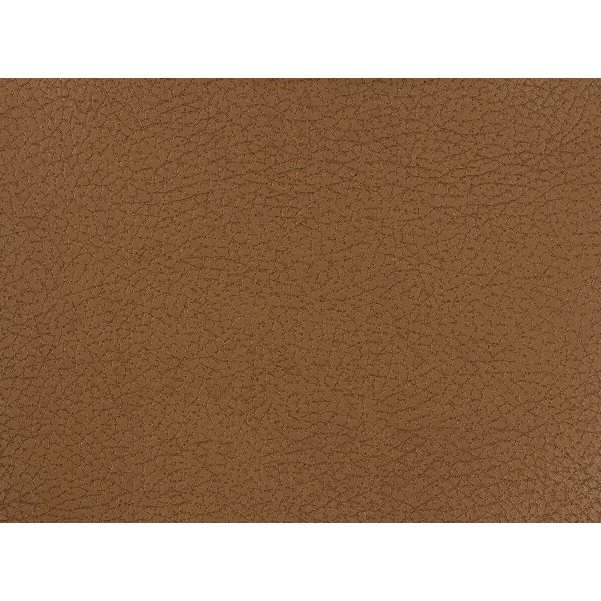 Kravet Design-Genslar-6666