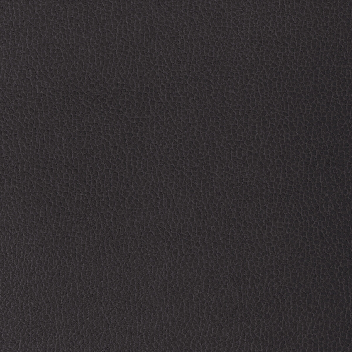 Kravet Design-Gillian-1010