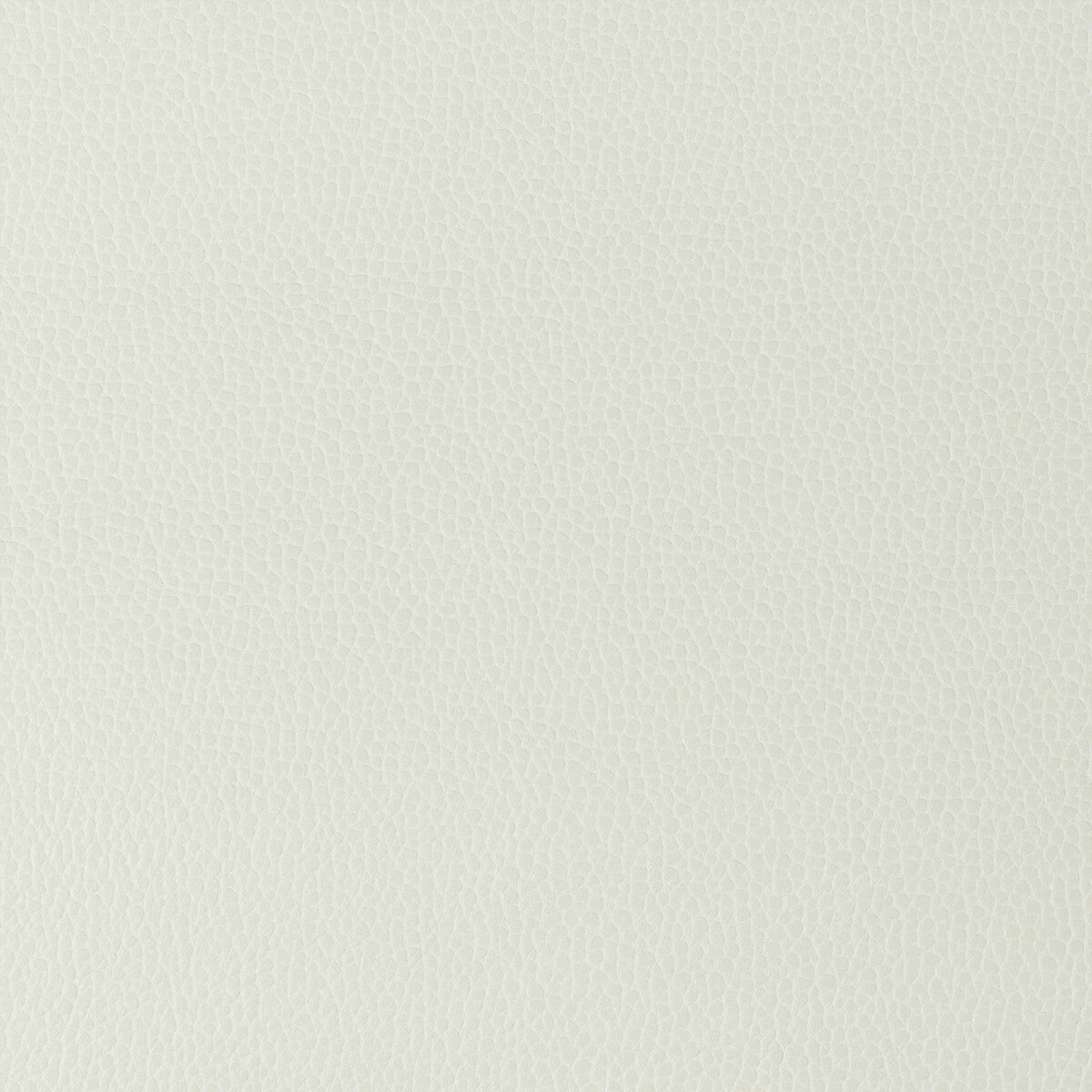 Kravet Design-Gillian-101