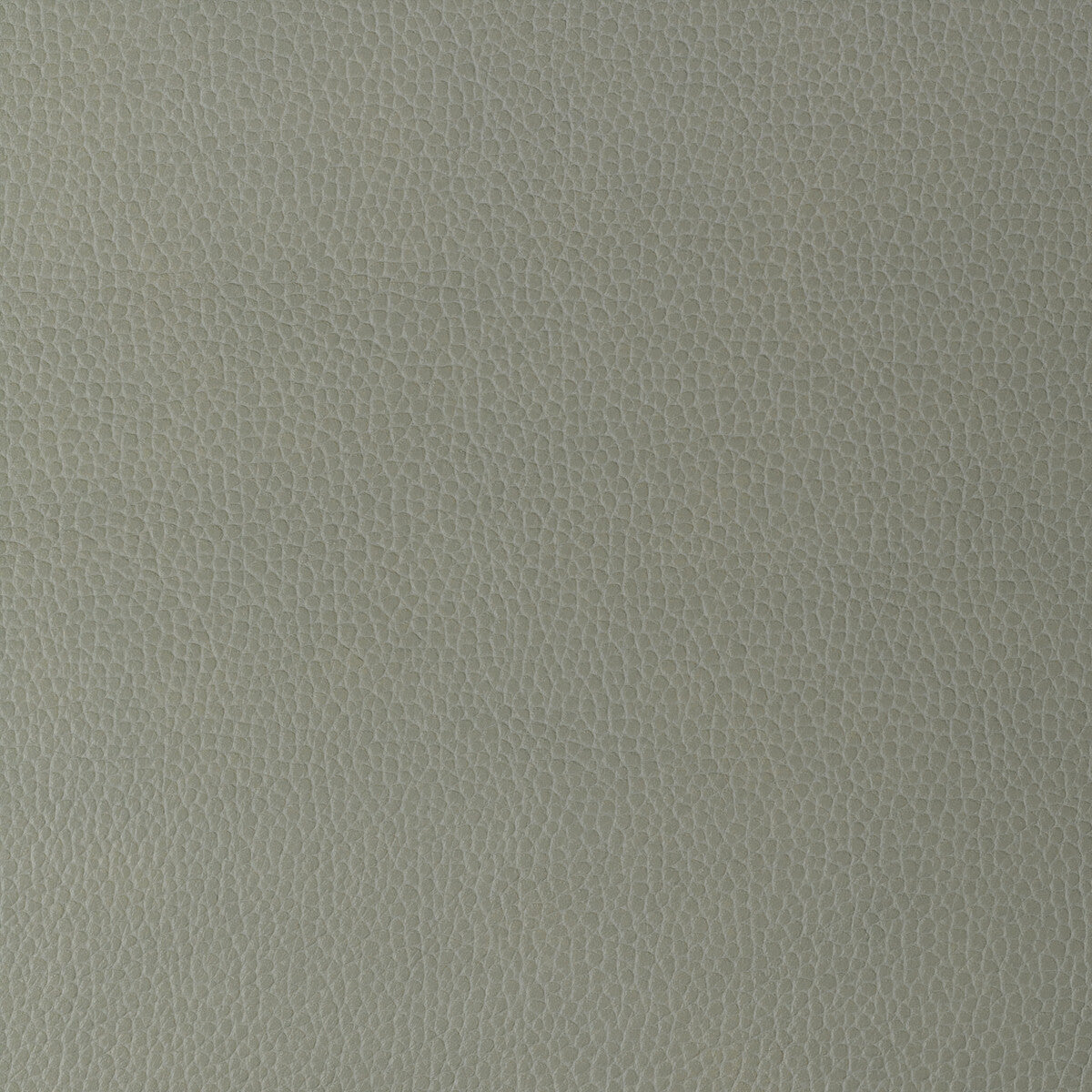 Kravet Design-Gillian-11