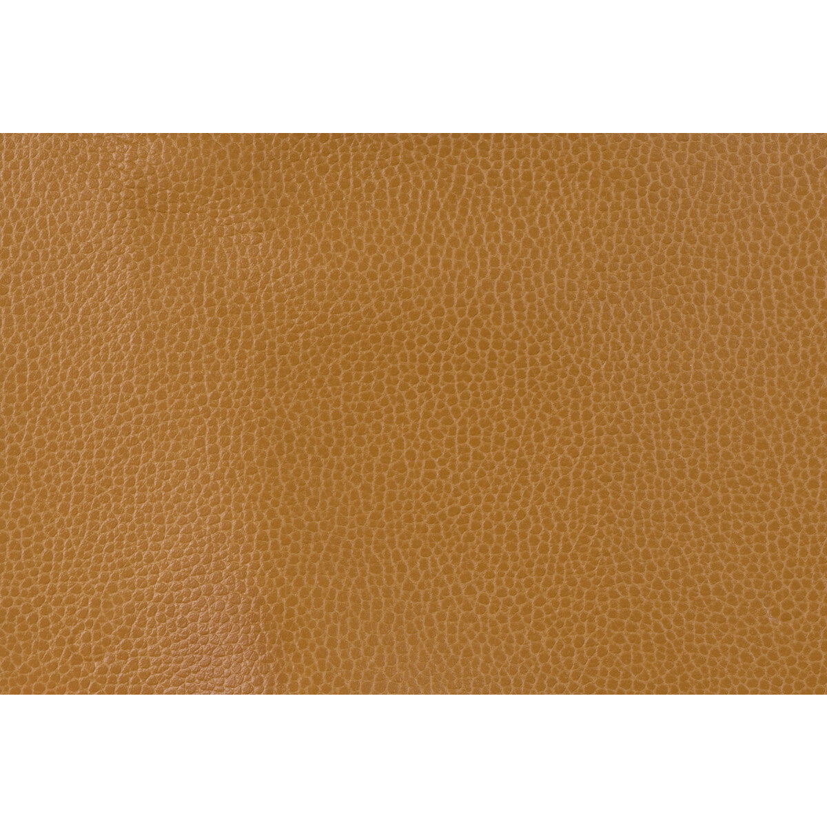 Kravet Design-Gillian-124