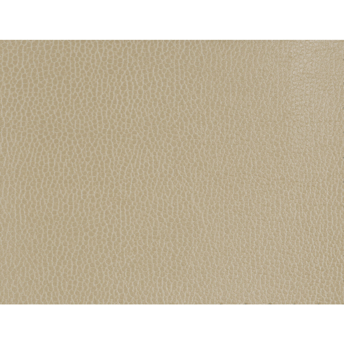 Kravet Design-Gillian-1616