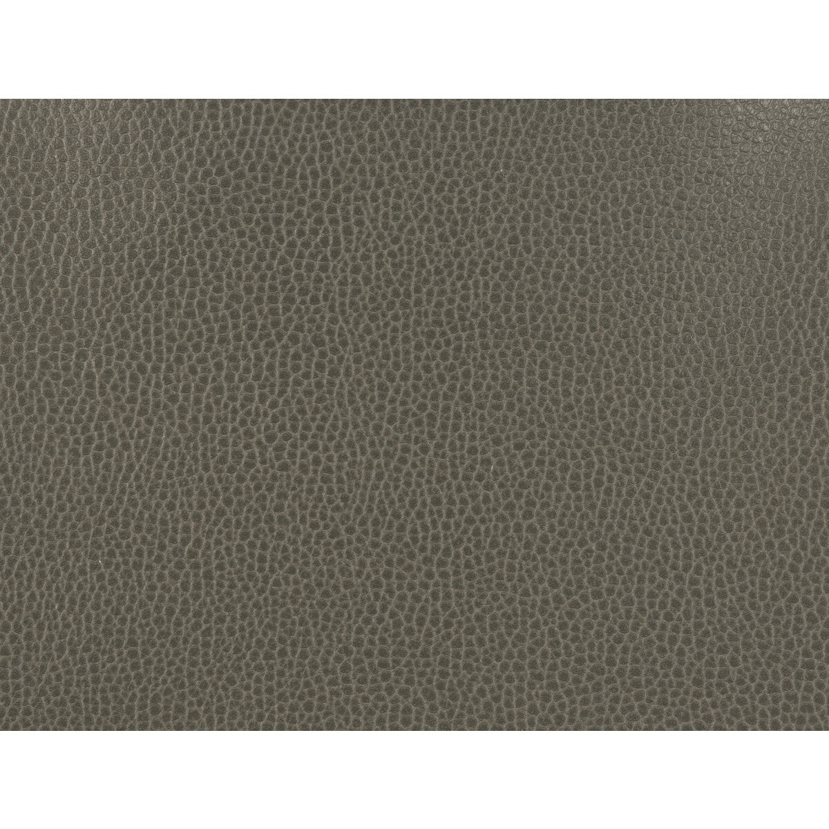 Kravet Design-Gillian-21