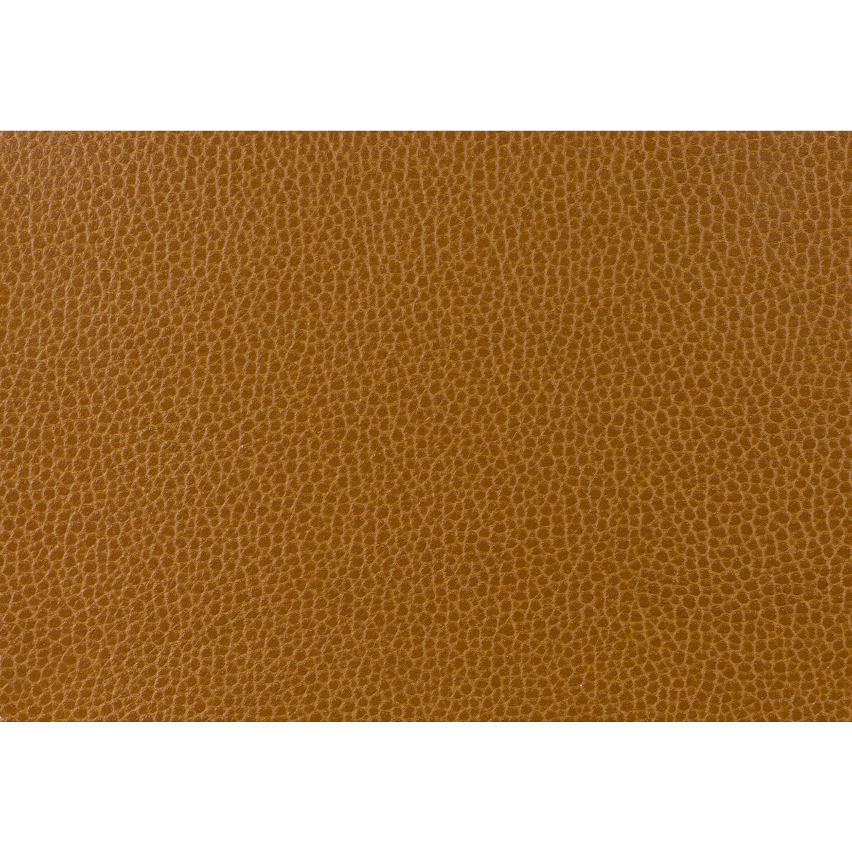 Kravet Design-Gillian-24