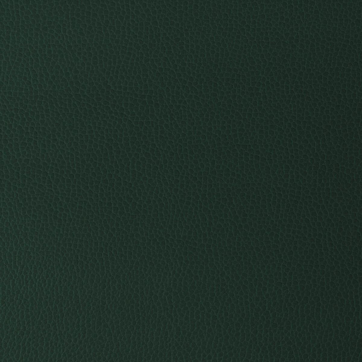 Kravet Design-Gillian-30