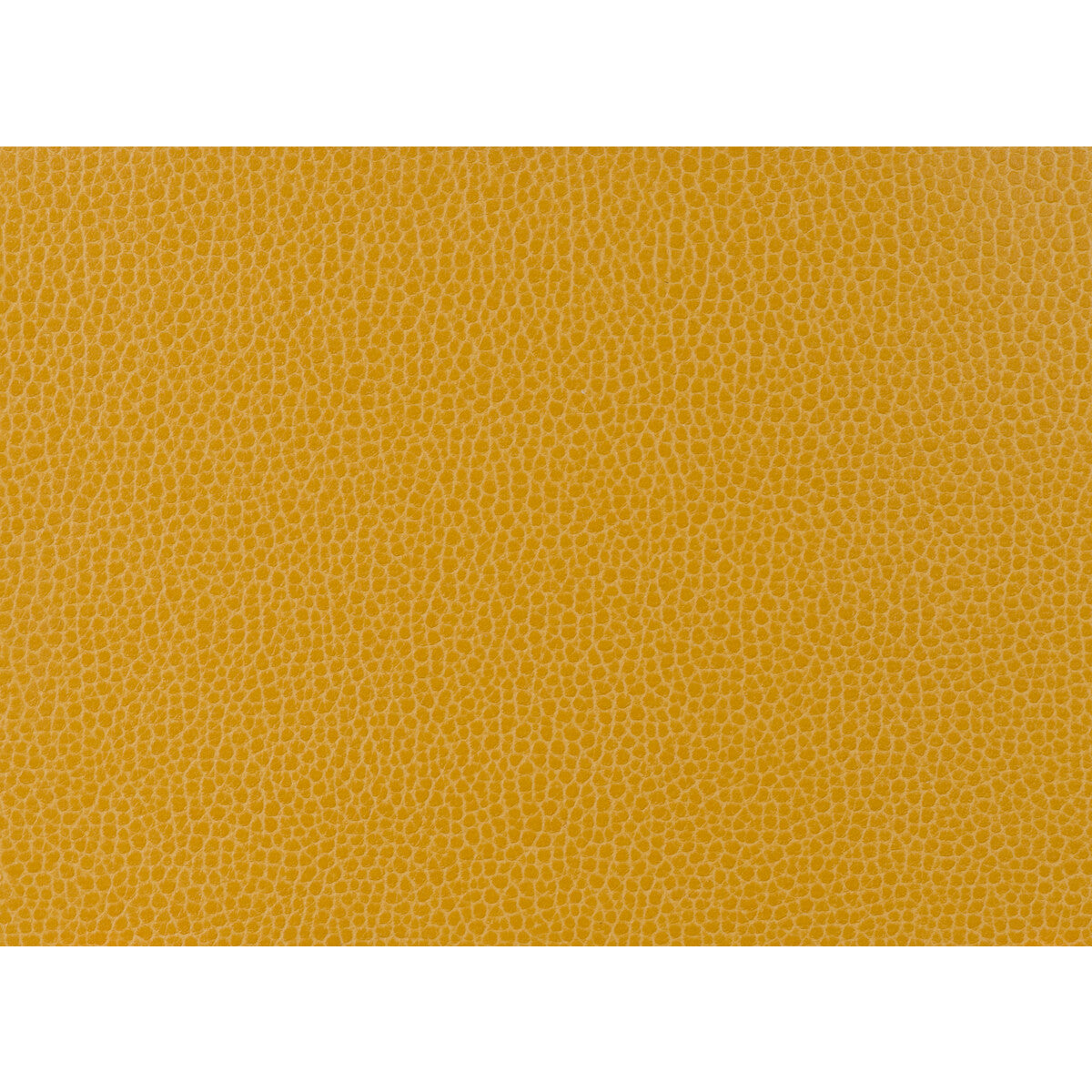 Kravet Design-Gillian-414