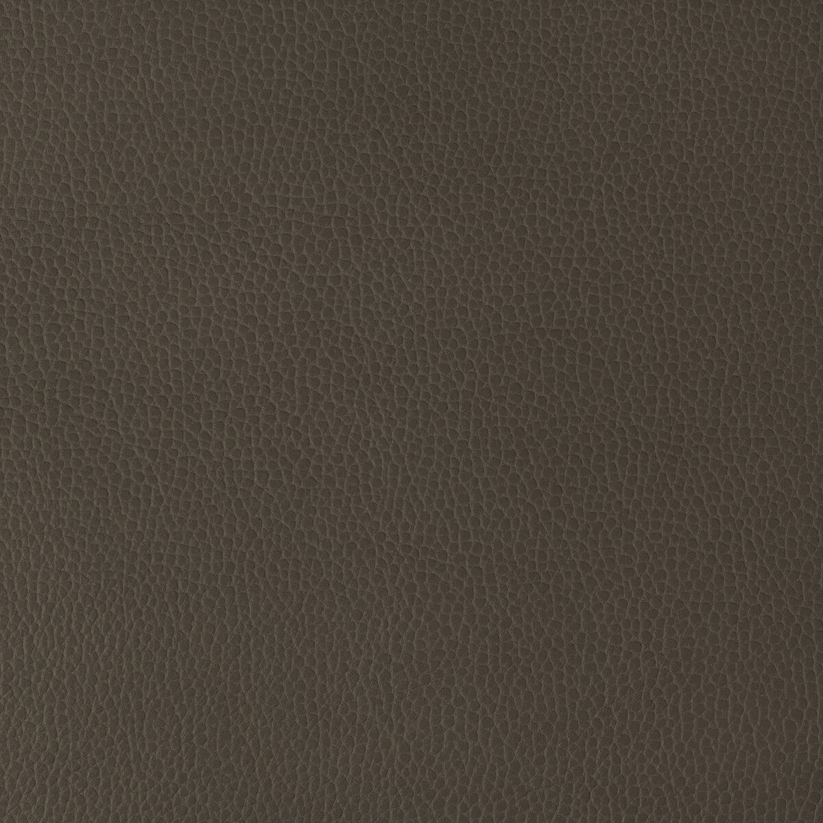 Kravet Design-Gillian-6666