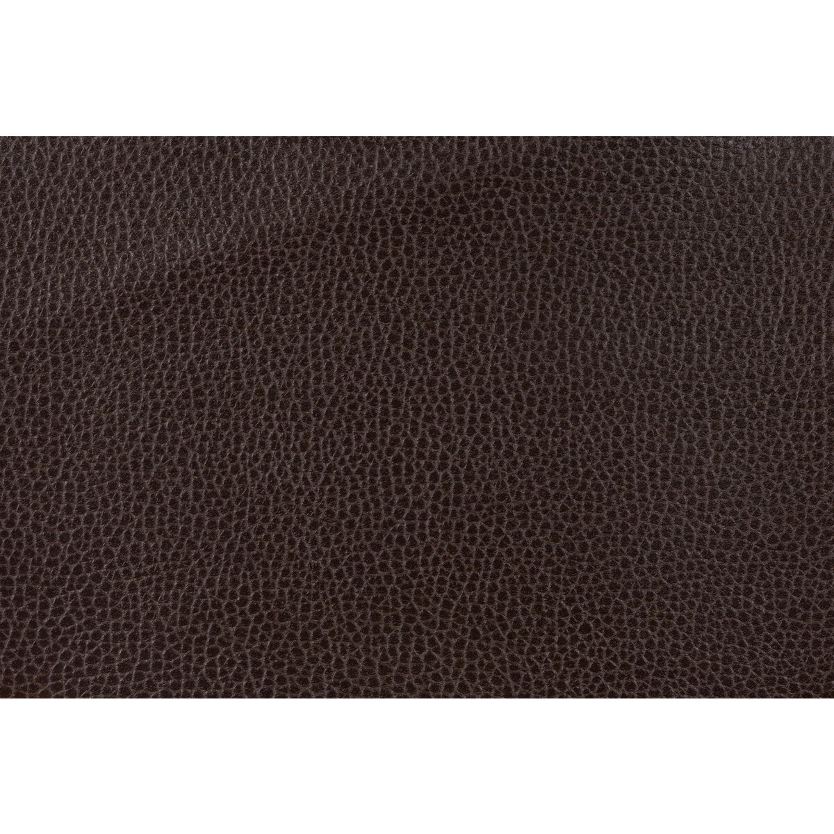 Kravet Design-Gillian-66