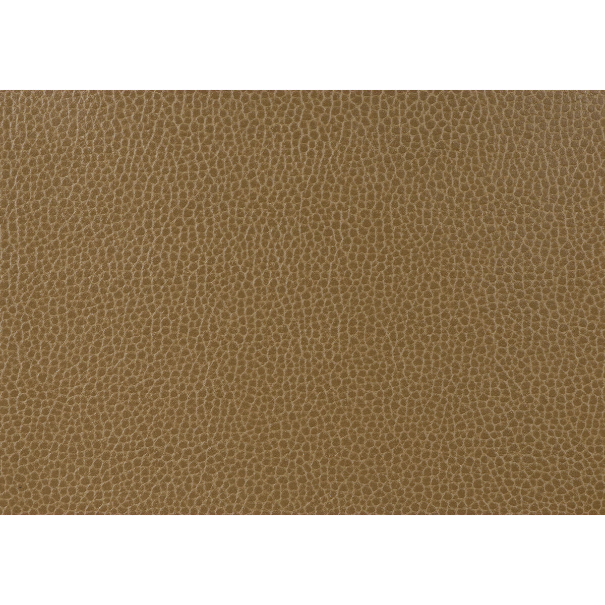 Kravet Design-Gillian-6