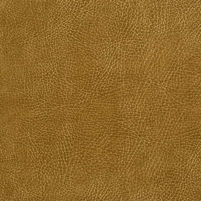 Kravet Design-Glendale-116