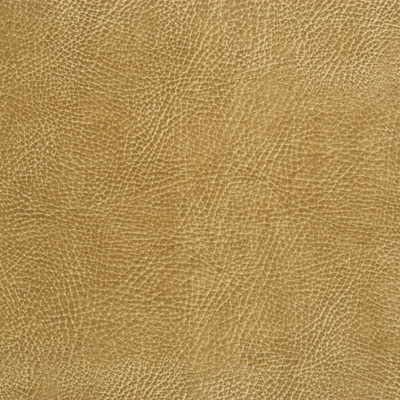 Kravet Design-Glendale-16