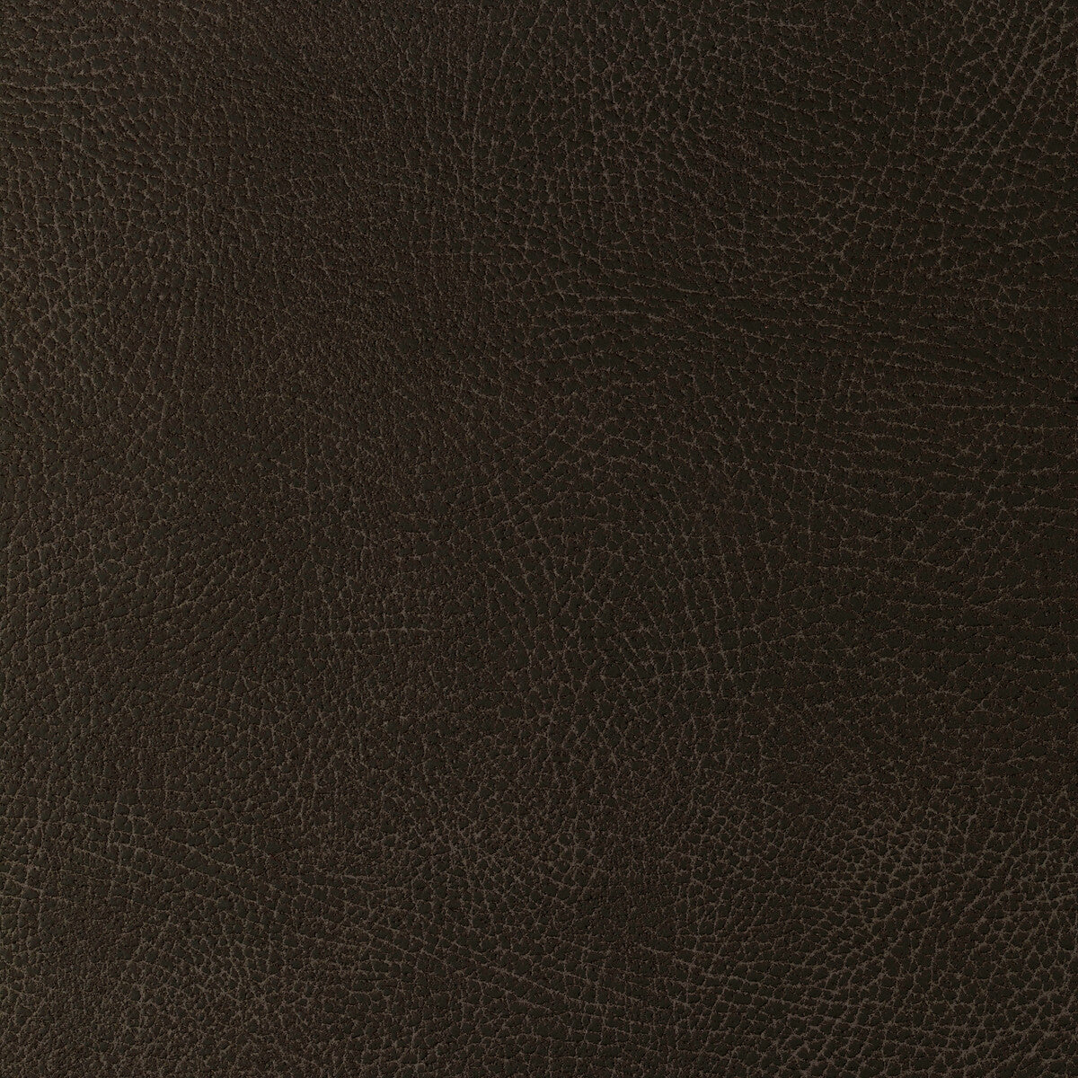 Kravet Design-Glendale-1666