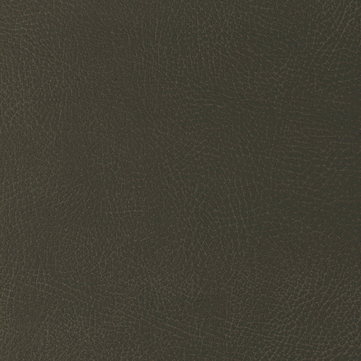 Kravet Design-Glendale-21