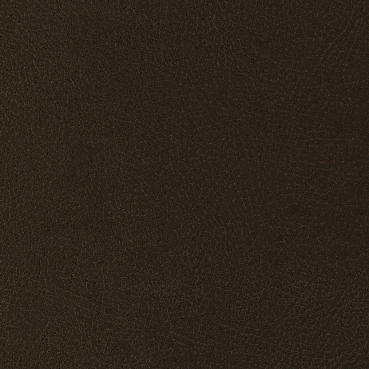 Kravet Design-Glendale-6166