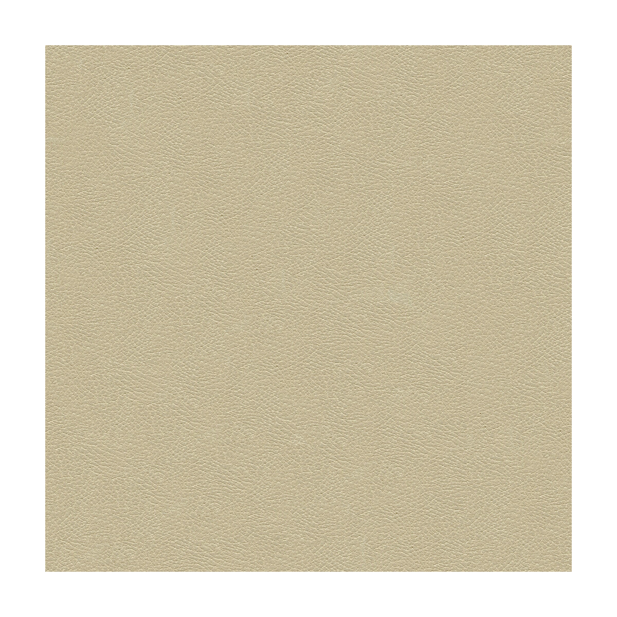 Kravet Design-Grana-1116