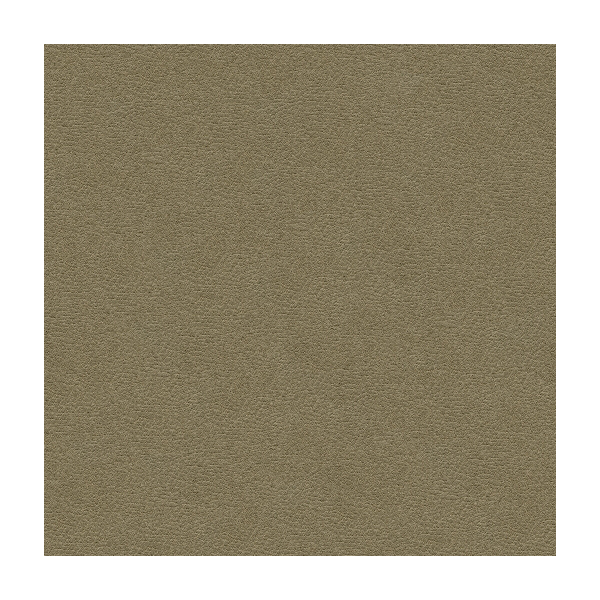 Kravet Design-Grana-11