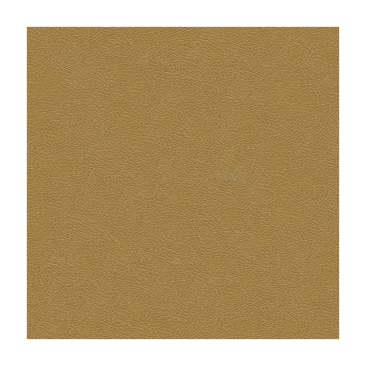 Kravet Design-Grana-1616