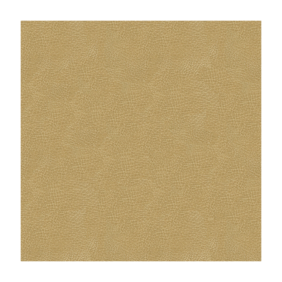 Kravet Design-Grana-16