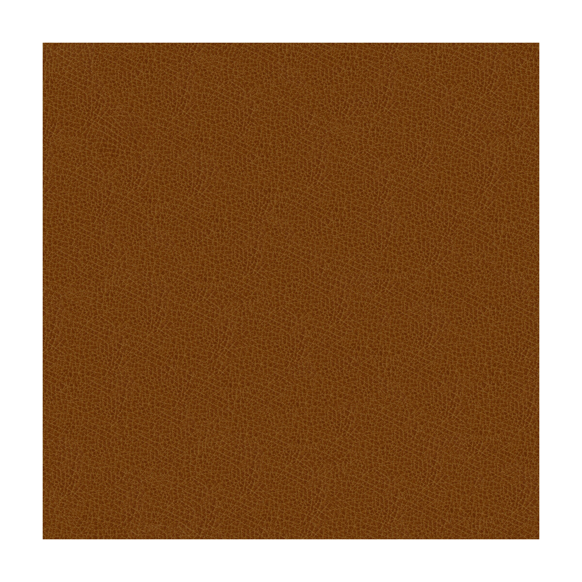 Kravet Design-Grana-616