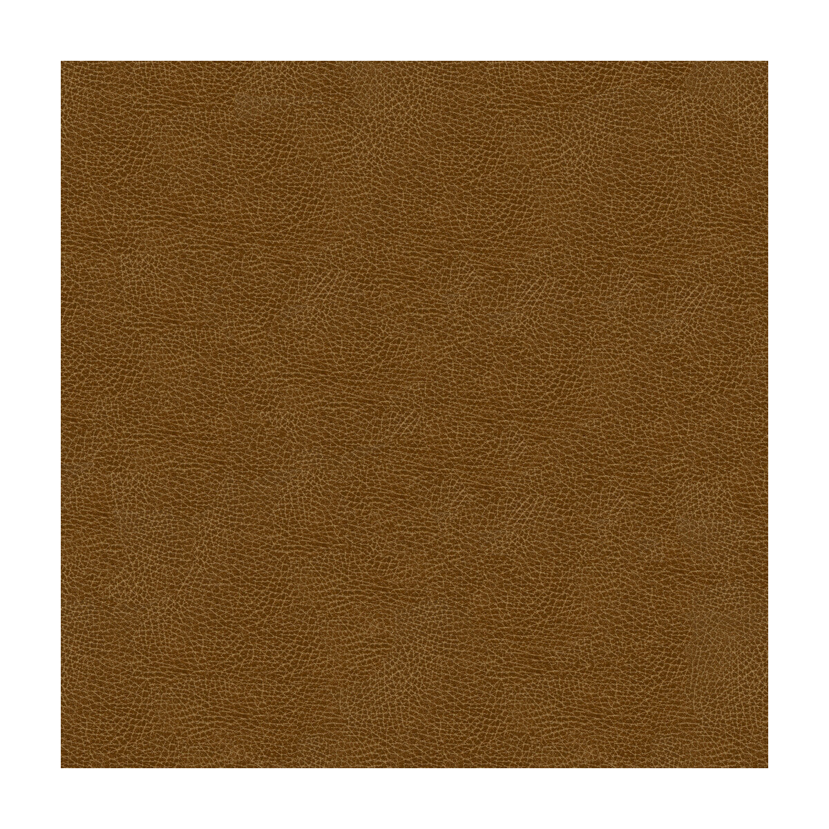 Kravet Design-Grana-6