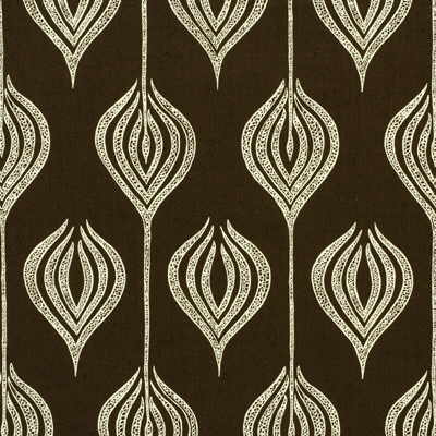 Tulip-Chocolate/Cream