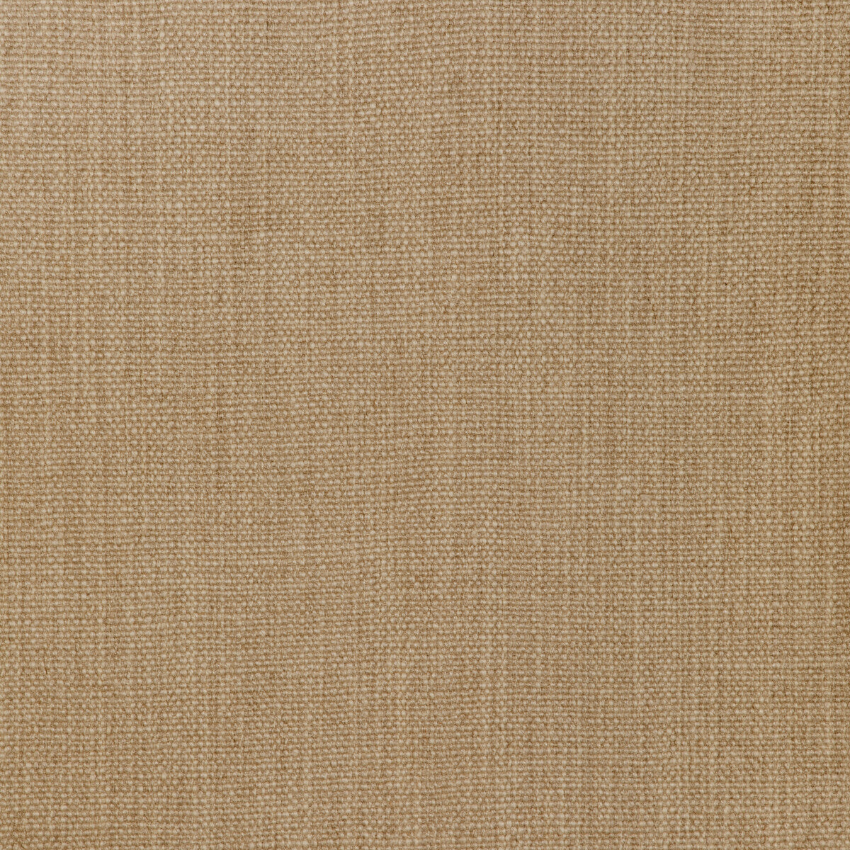 Prairie Texture-Dove