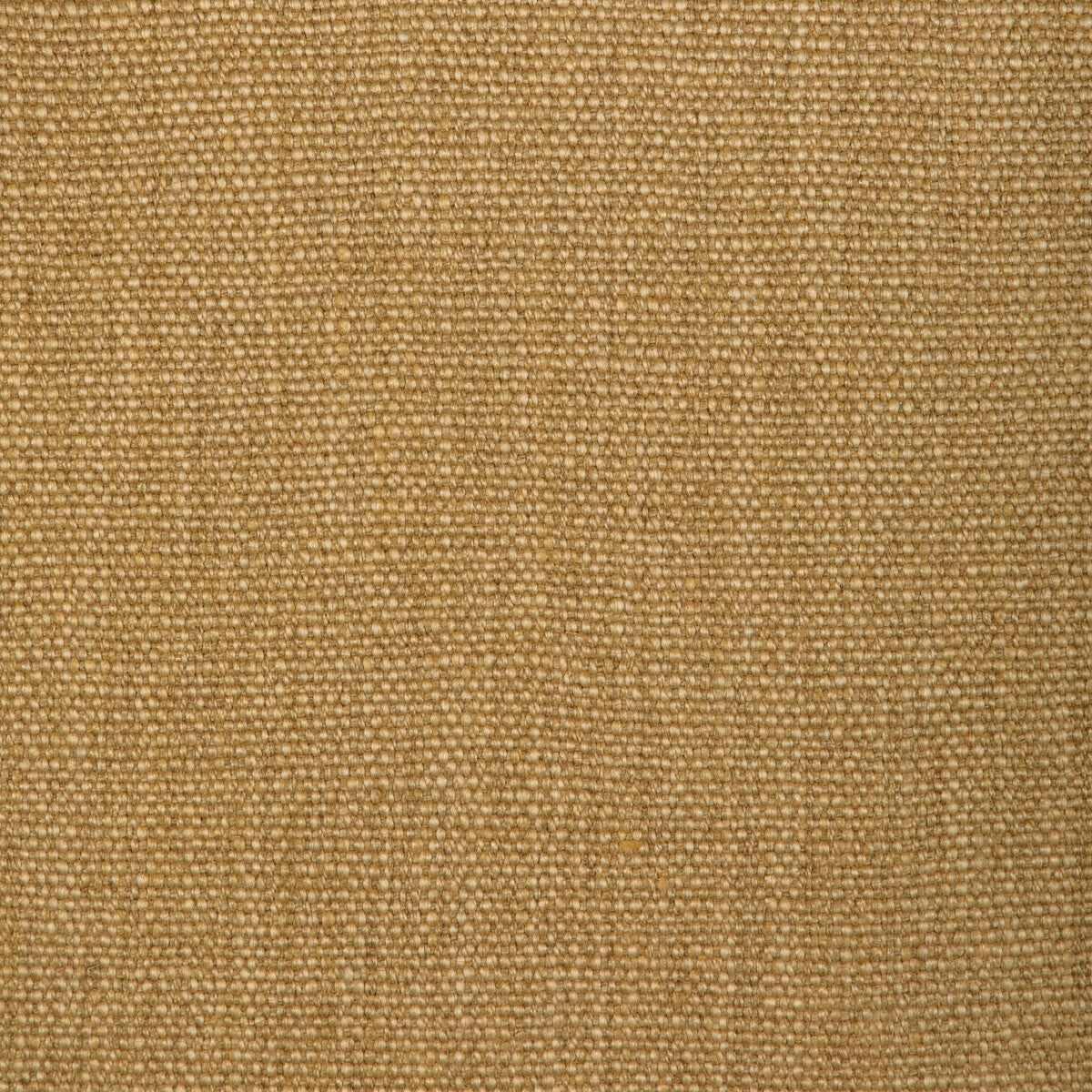 Prairie Texture-Straw