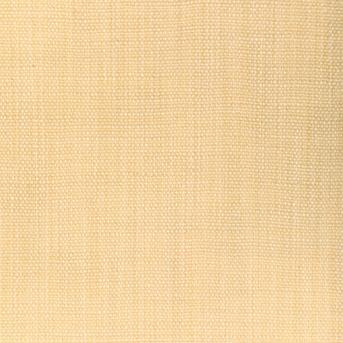 Prairie Texture-Ivory