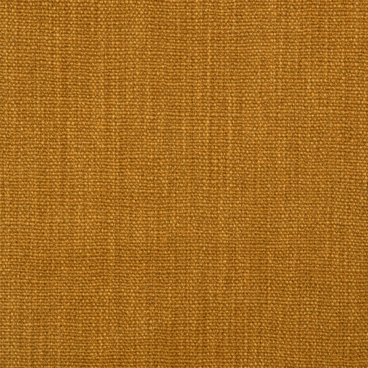 Prairie Texture-Amber