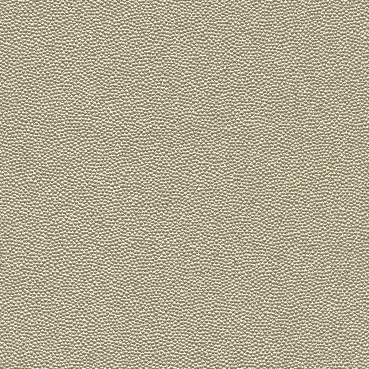 Kravet Design-Hammer-1101