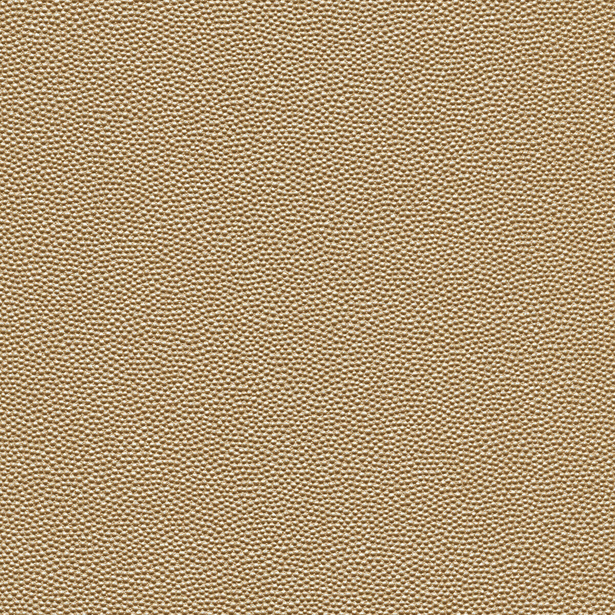 Kravet Design-Hammer-11