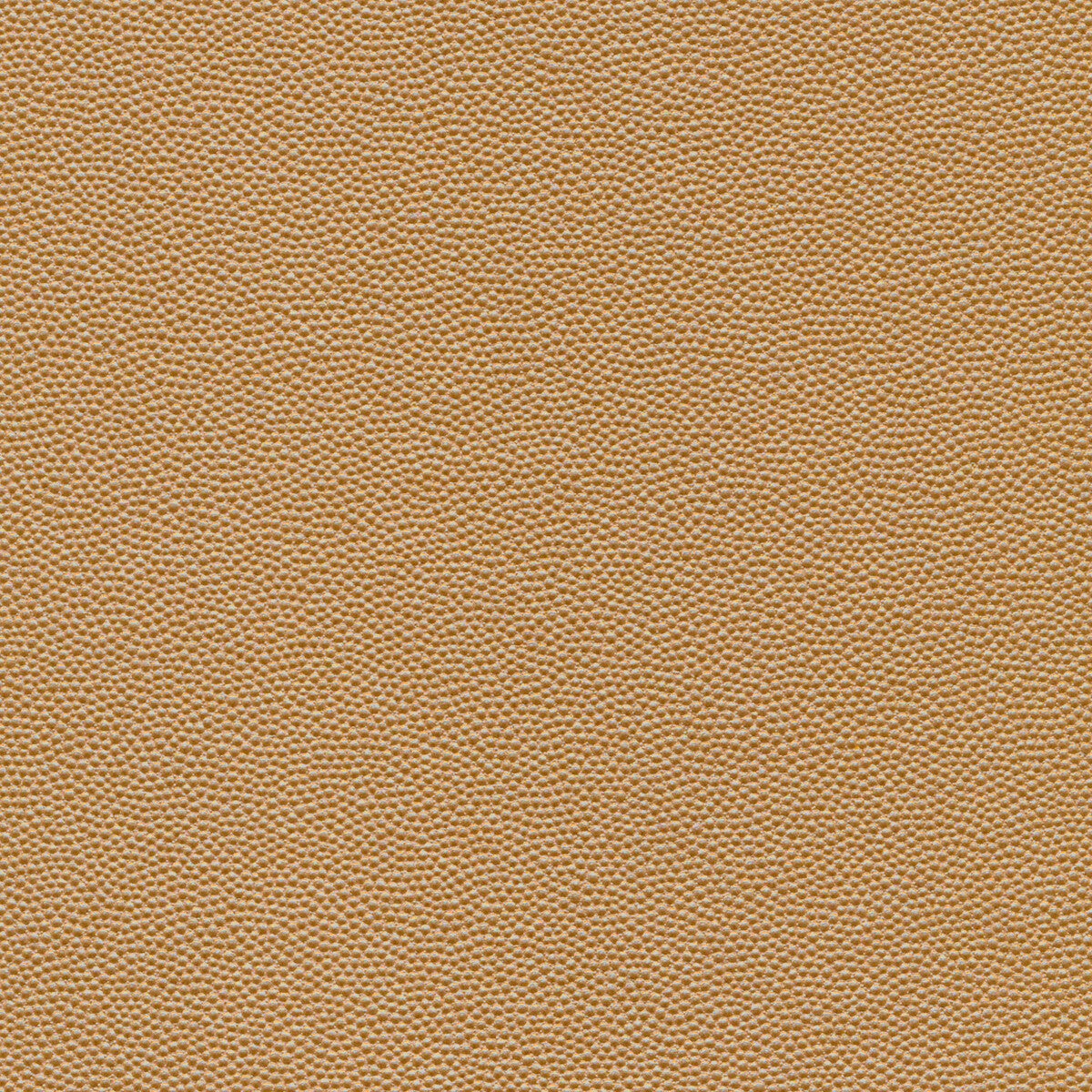 Kravet Design-Hammer-16