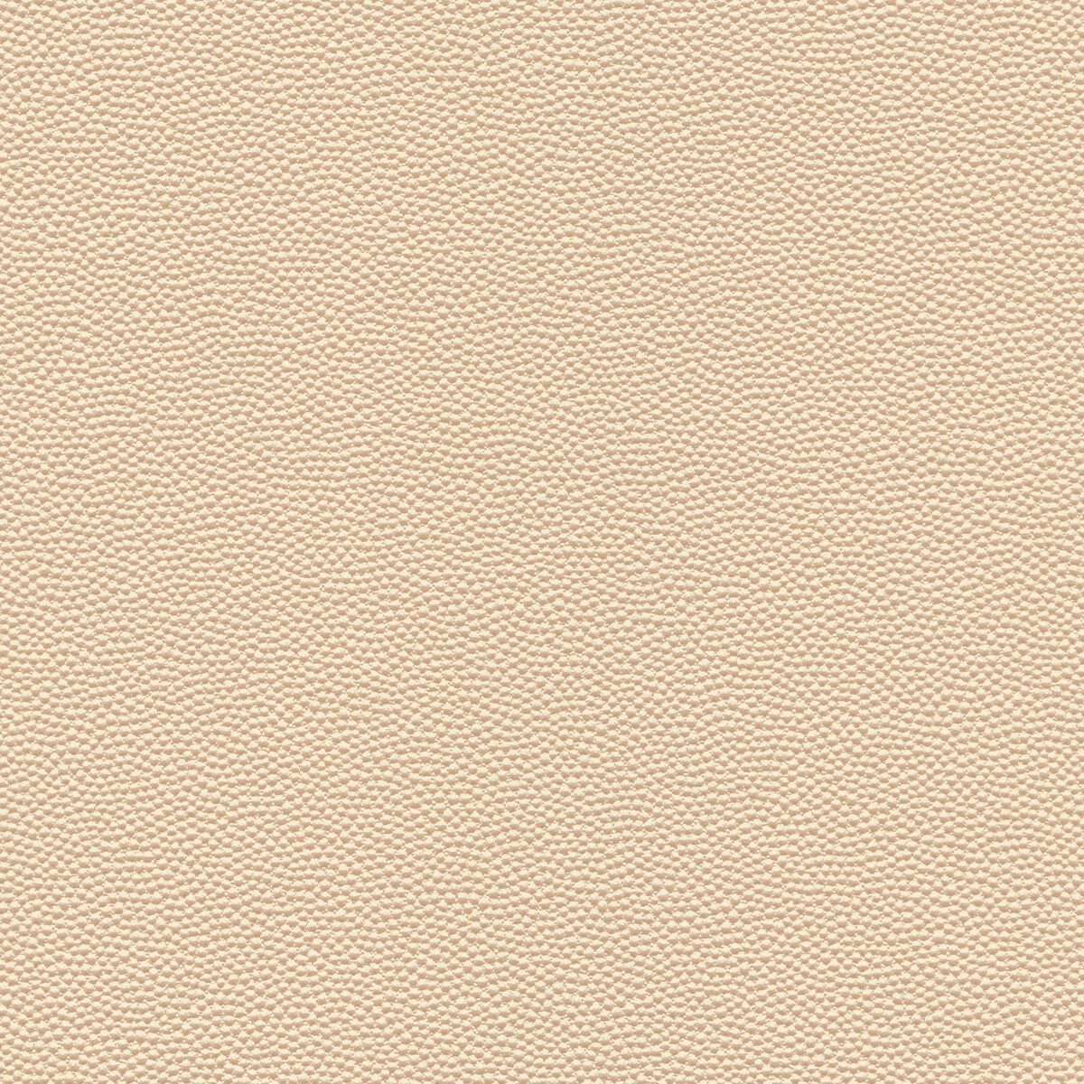 Kravet Design-Hammer-1