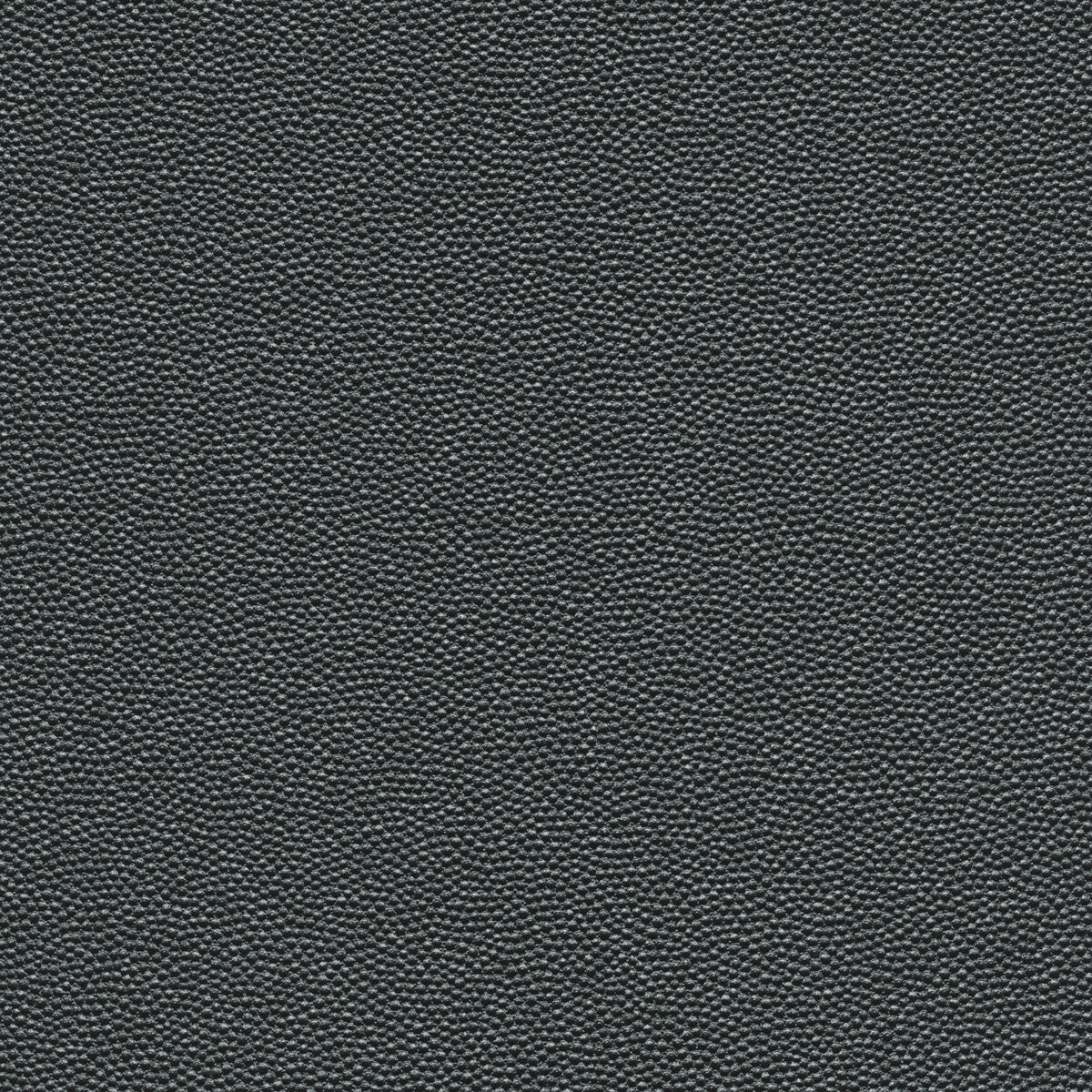 Kravet Design-Hammer-21