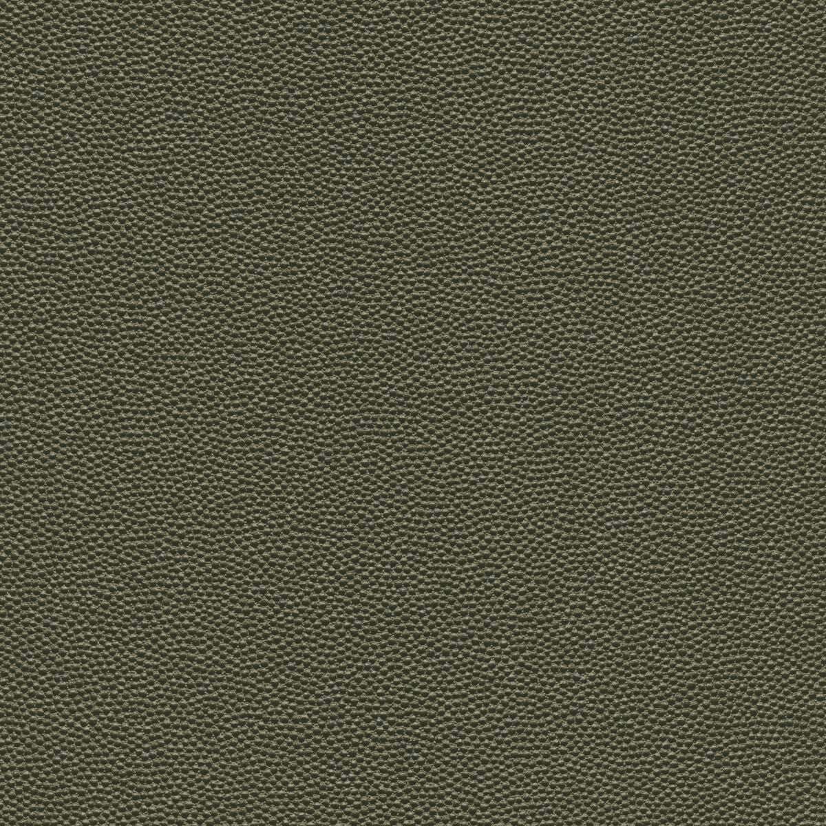 Kravet Design-Hammer-3