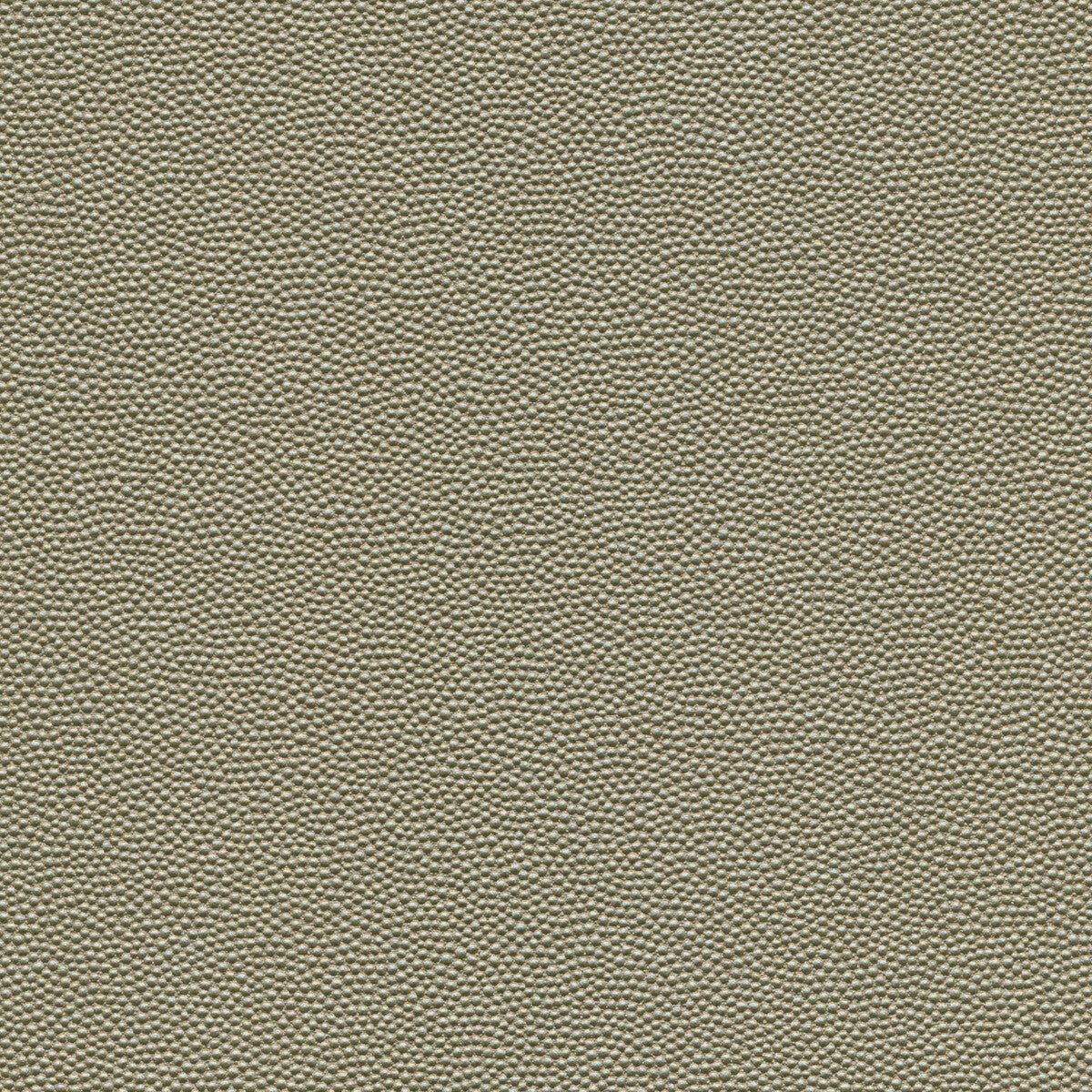 Kravet Design-Hammer-52