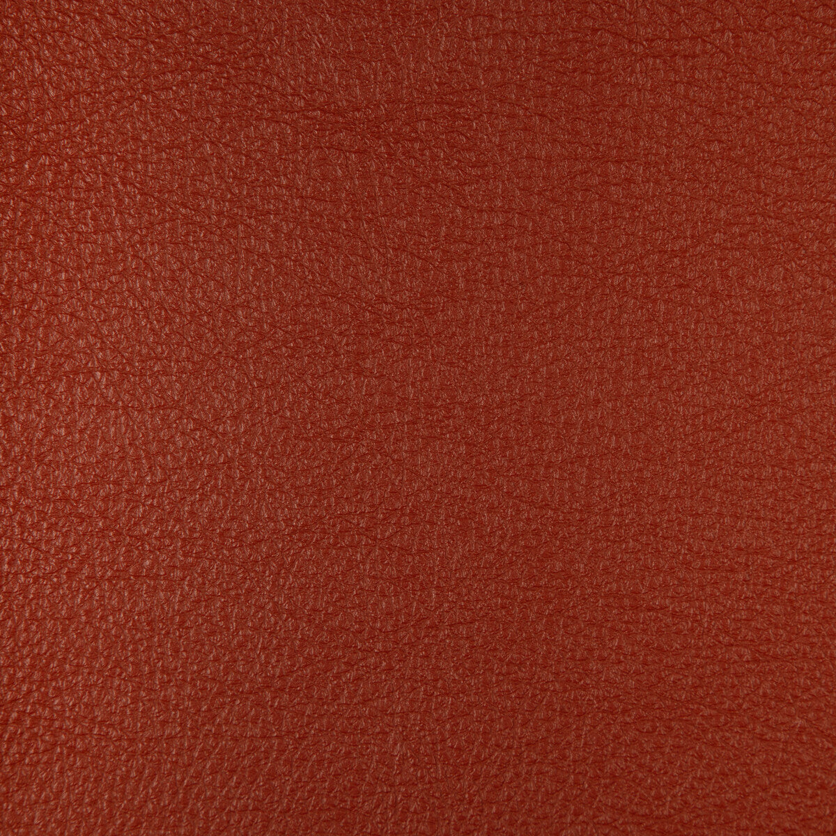 Kravet Design-Harmony-24