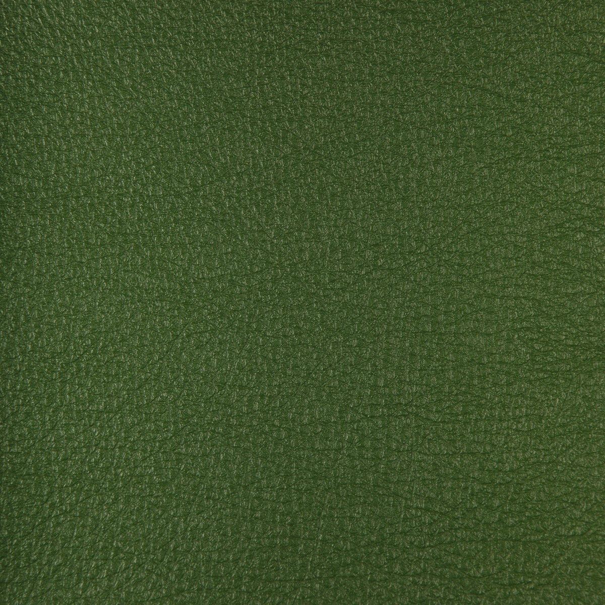 Kravet Design-Harmony-33