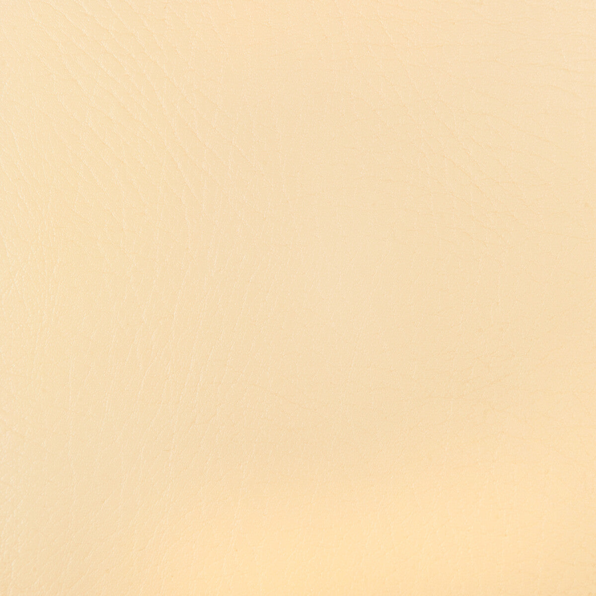 Kravet Design-Honor-1