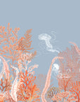 Jely Fish Wallpaper