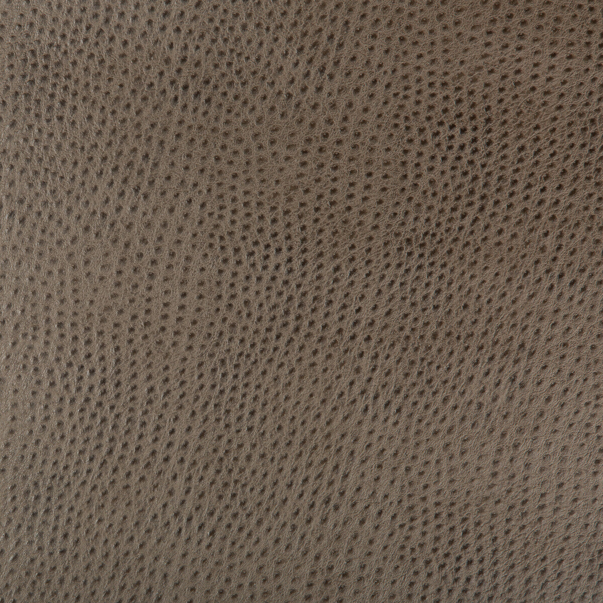 Kravet Design-Hubble-106