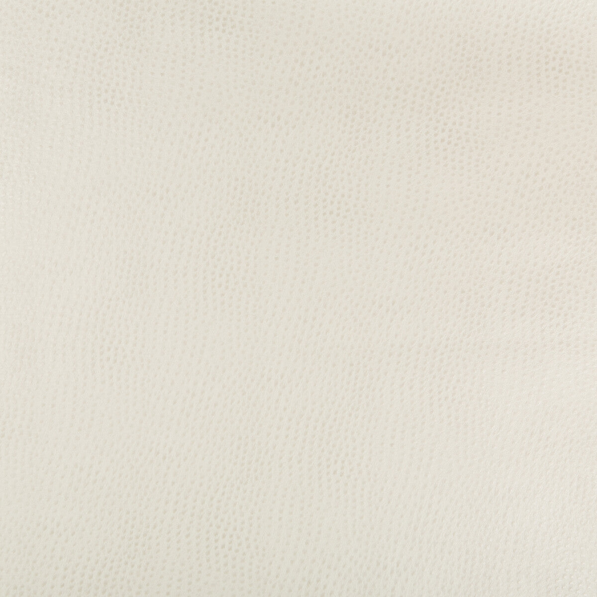 Kravet Design-Hubble-111